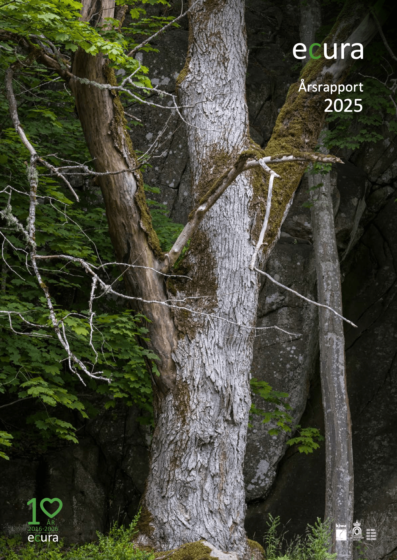 Skjermbilde 2026-04-08 kl. 14.23.25.png