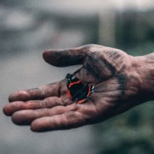 elijah-o-donnell-715864-unsplash sommerfugl i hånd elijah-o-donnell-715864-unsplash sommerfugl i hånd